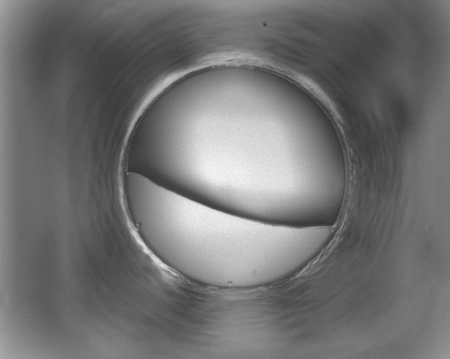X0000067831440200604130907