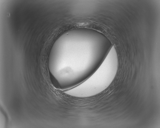X0000067831441200604130906
