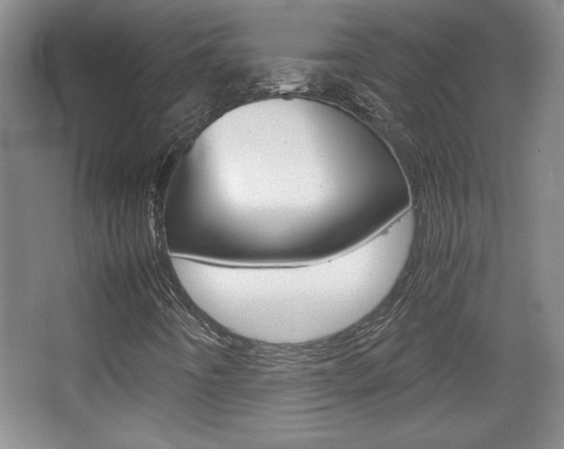 X0000067831442200604130906