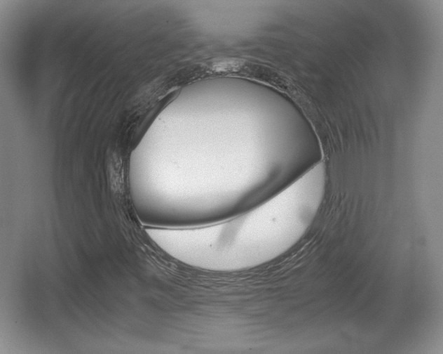 X0000067831443200604130906