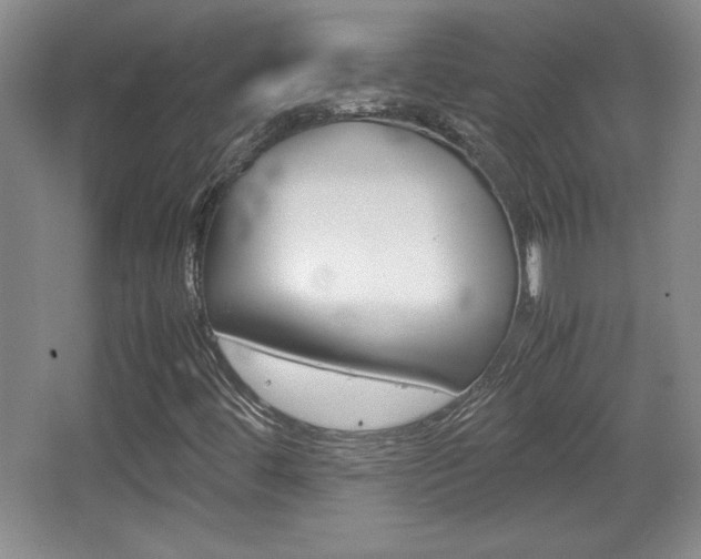 X0000067831444200604130906