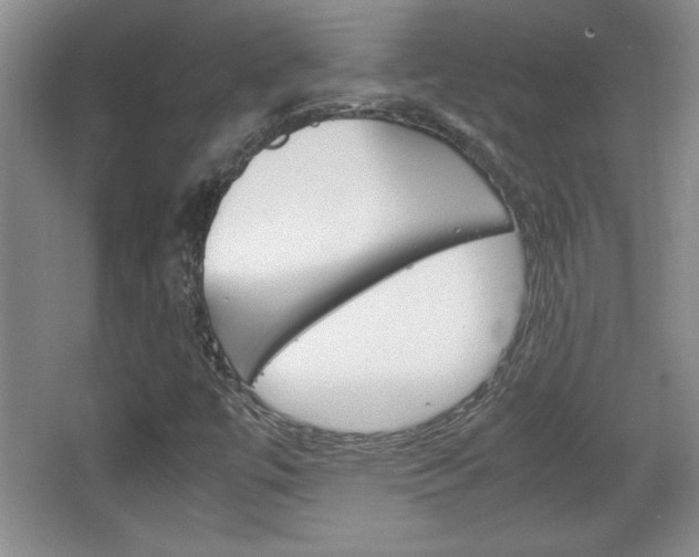 X0000067831447200604130906