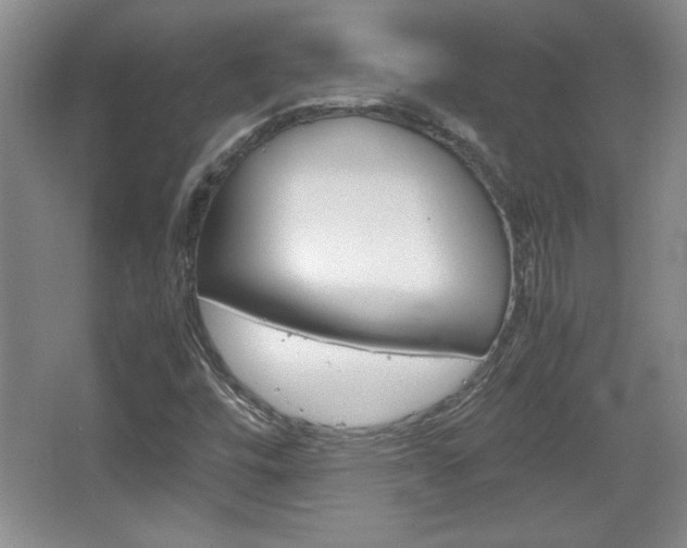 X0000067831448200604130906