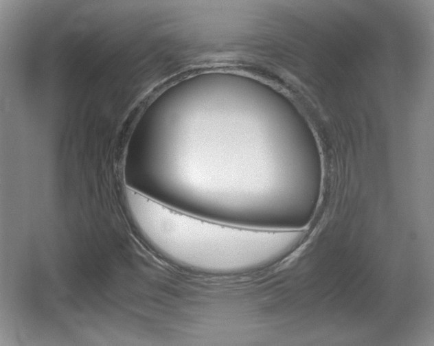 X0000067831449200604130906