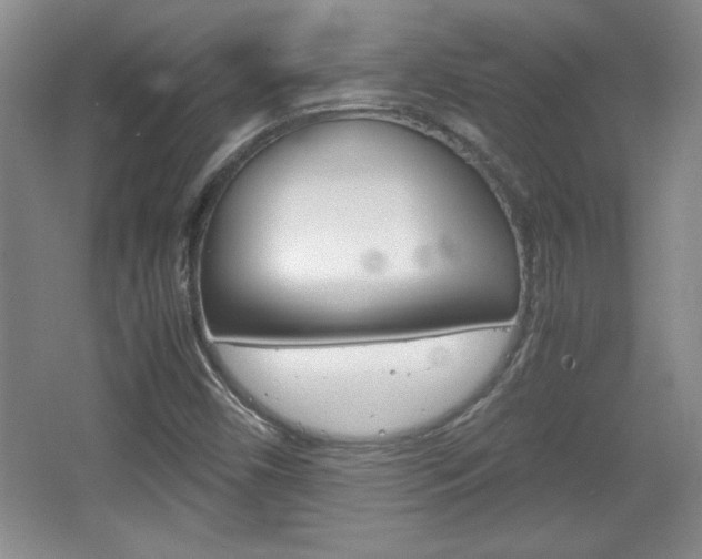 X0000067831450200604130906