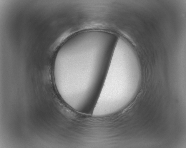 X0000067831455200604130906