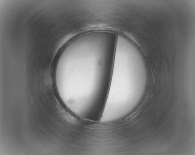 X0000067831458200604130906