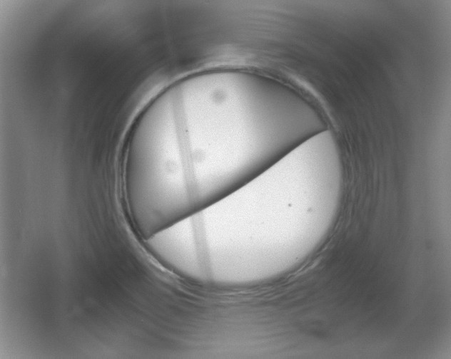 X0000067831467200604130906