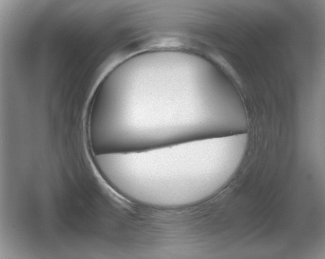 X0000067831475200604130905