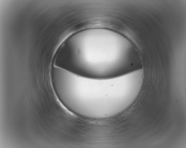 X0000067831476200604130905