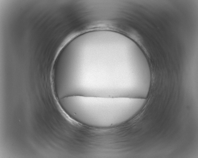 X0000067831482200604130905
