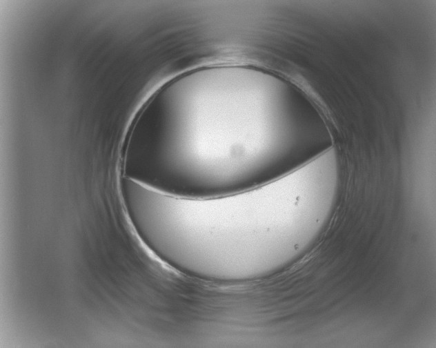 X0000067831484200604130905