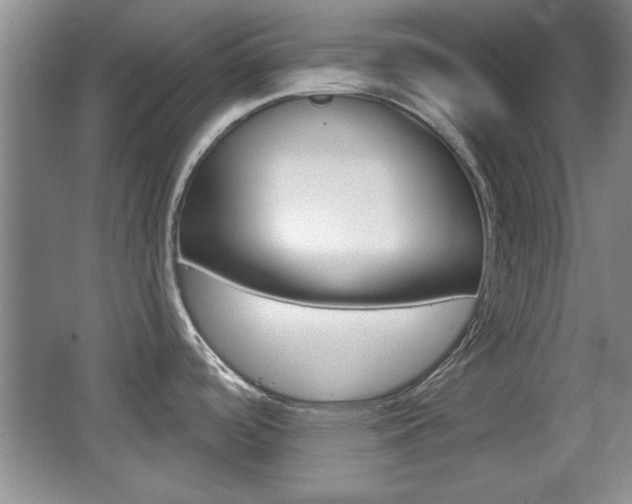X0000067831488200604130905