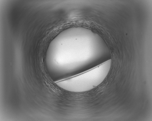 X0000067831489200604130904
