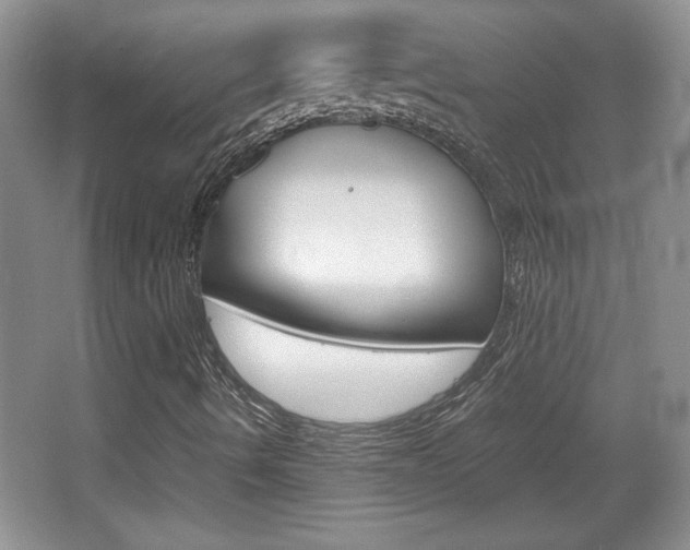 X0000067831490200604130904