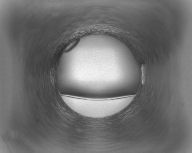 X0000067831491200604130904
