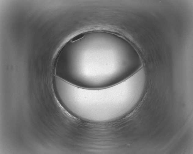 X0000067831500200604130905