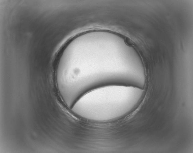 X0000067831502200604130905