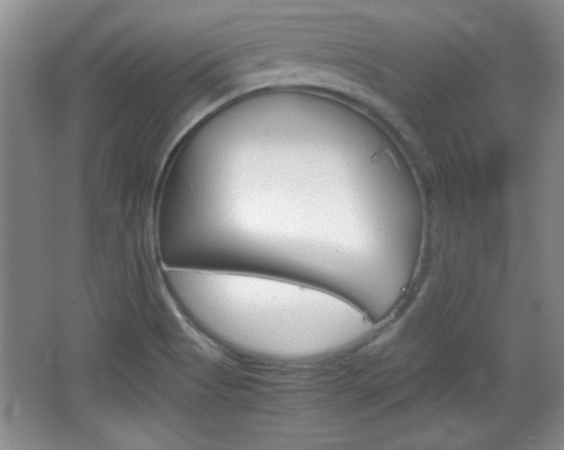 X0000067831513200604130905