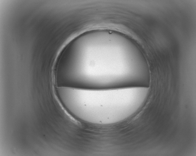 X0000067831517200604130905