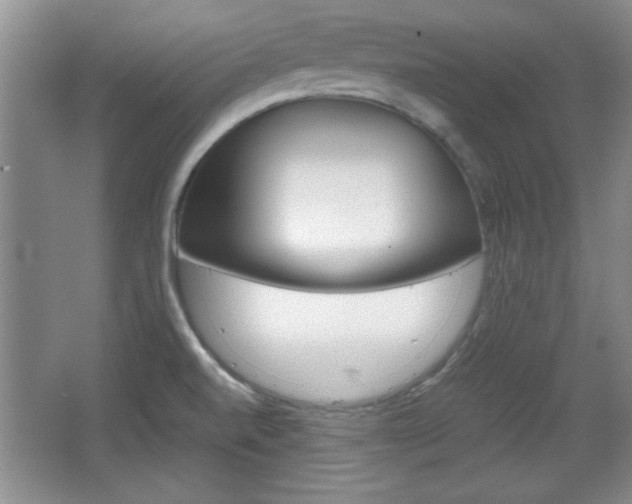 X0000067831520200604130905