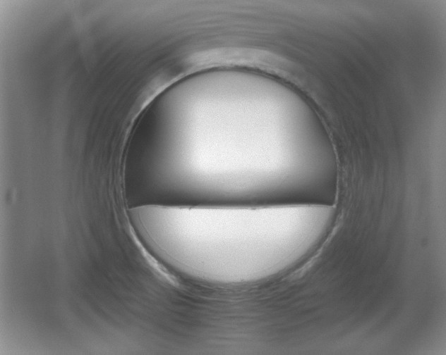 X0000067831521200604130905