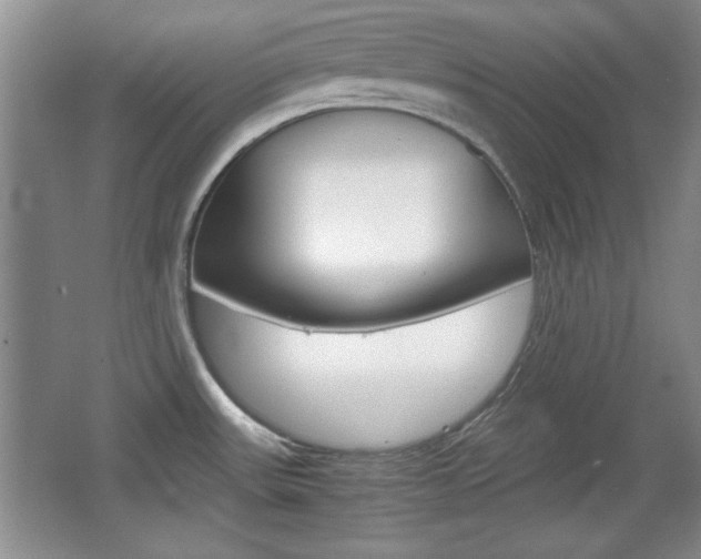 X0000067831531200604130905