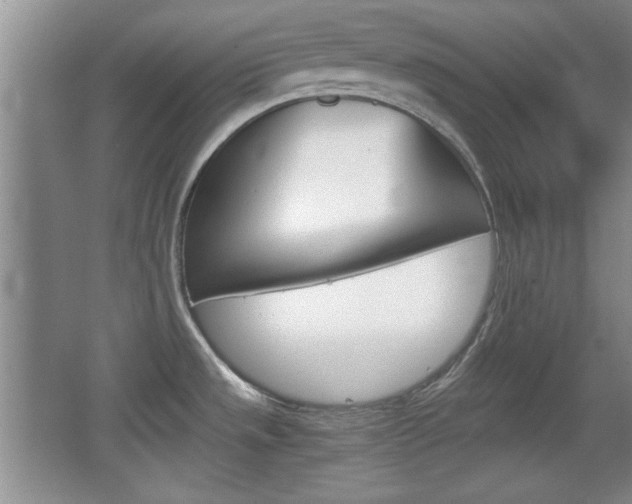 X0000067831533200604130905