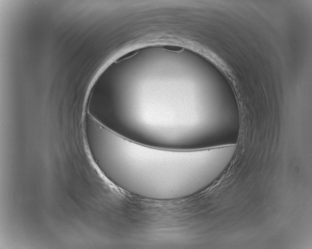 X0000067831536200604130905