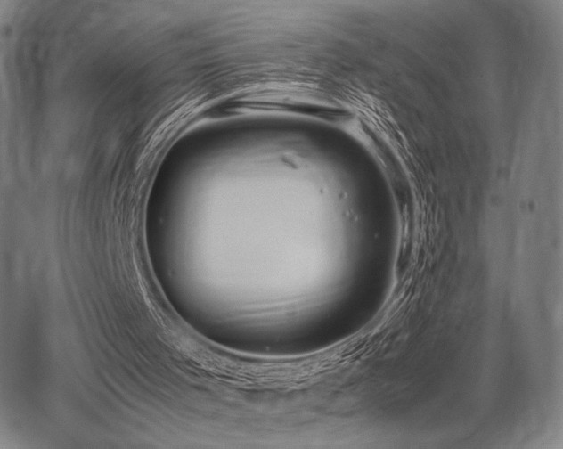 X0000067830001200604131212