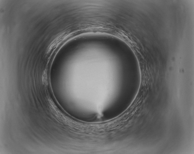 X0000067830002200604131212