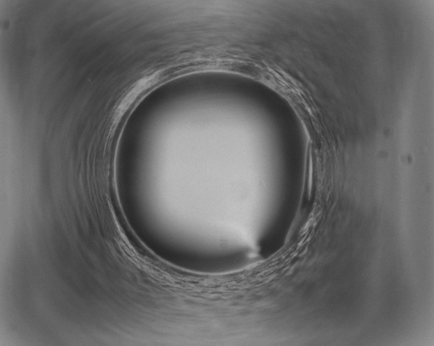 X0000067830003200604131212