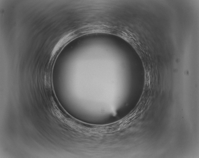 X0000067830004200604131212