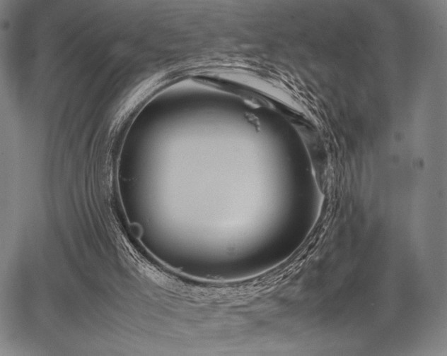 X0000067830005200604131212