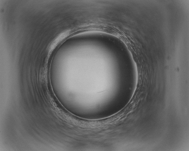 X0000067830006200604131212