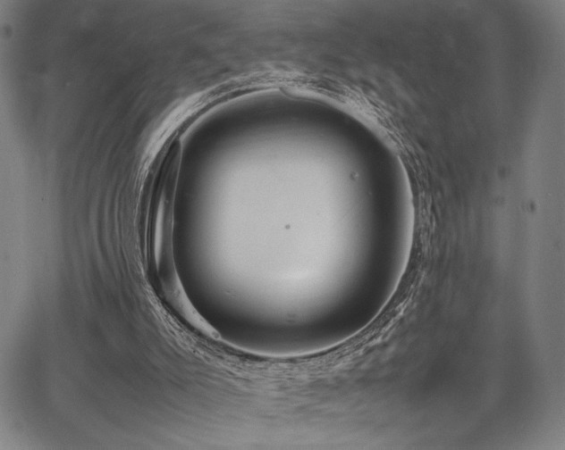 X0000067830007200604131212