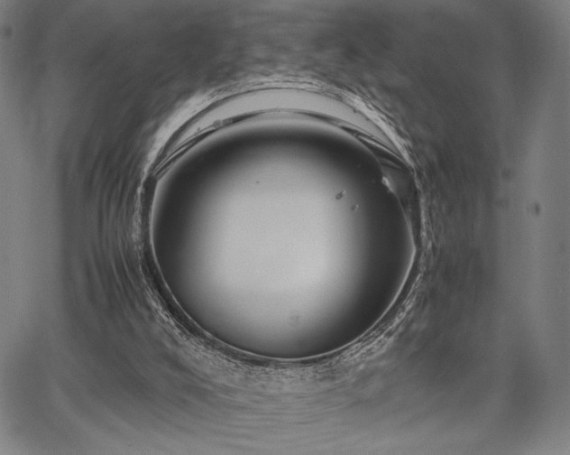 X0000067830008200604131212