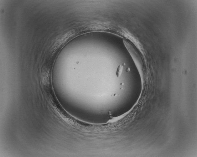 X0000067830009200604131212