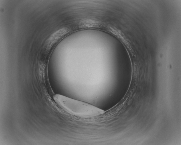 X0000067830010200604131212