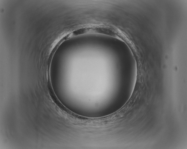 X0000067830011200604131212