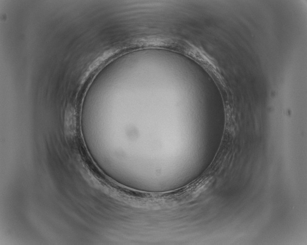 X0000067830012200604131212