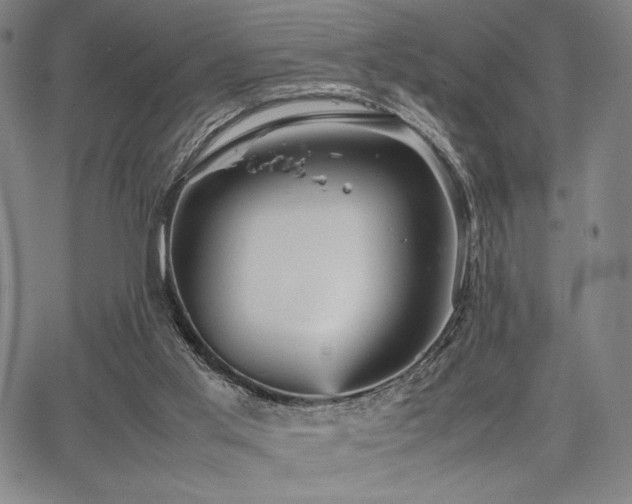 X0000067830013200604131212