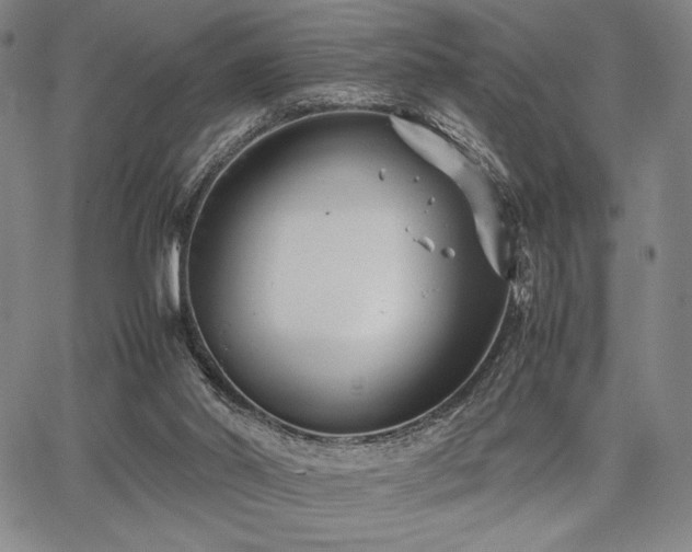 X0000067830014200604131212