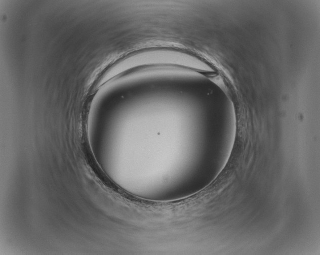 X0000067830015200604131212