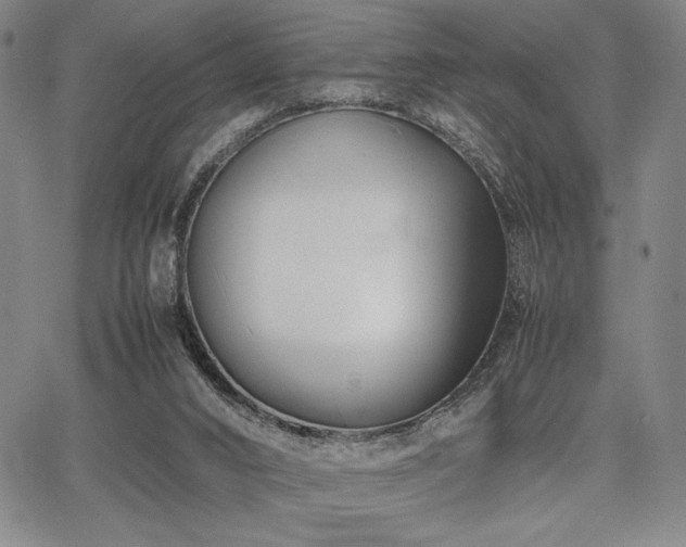 X0000067830016200604131212