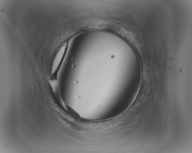 X0000067830017200604131212