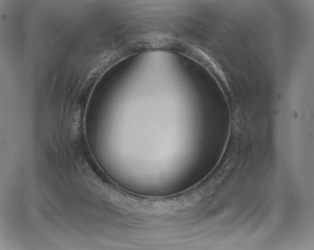 X0000067830018200604131212