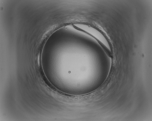 X0000067830019200604131212