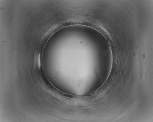 X0000067830020200604131212