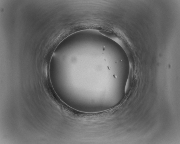 X0000067830021200604131212